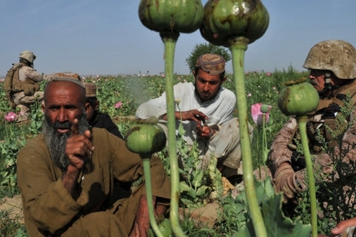 Mỹ sa vào “vết xe đổ” của Liên Xô ở Afghanistan